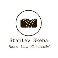 Stanley Skeba 2