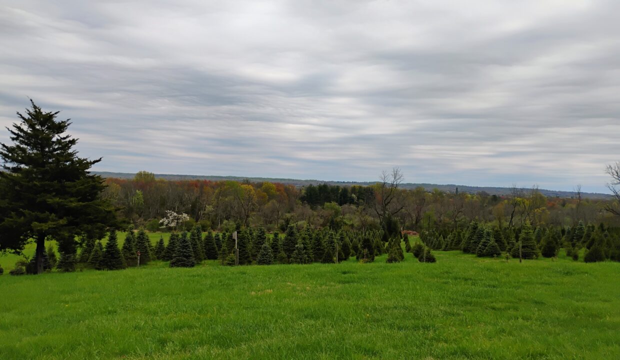 IMG_20250421_150208867_AE